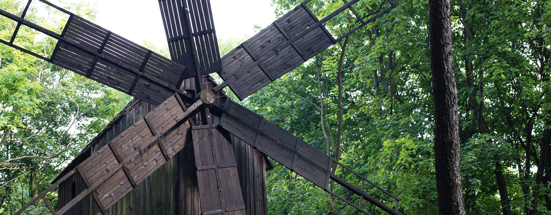 Entdecke dein Winsen (Aller)